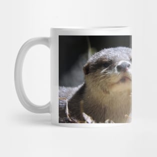 Otter Mug